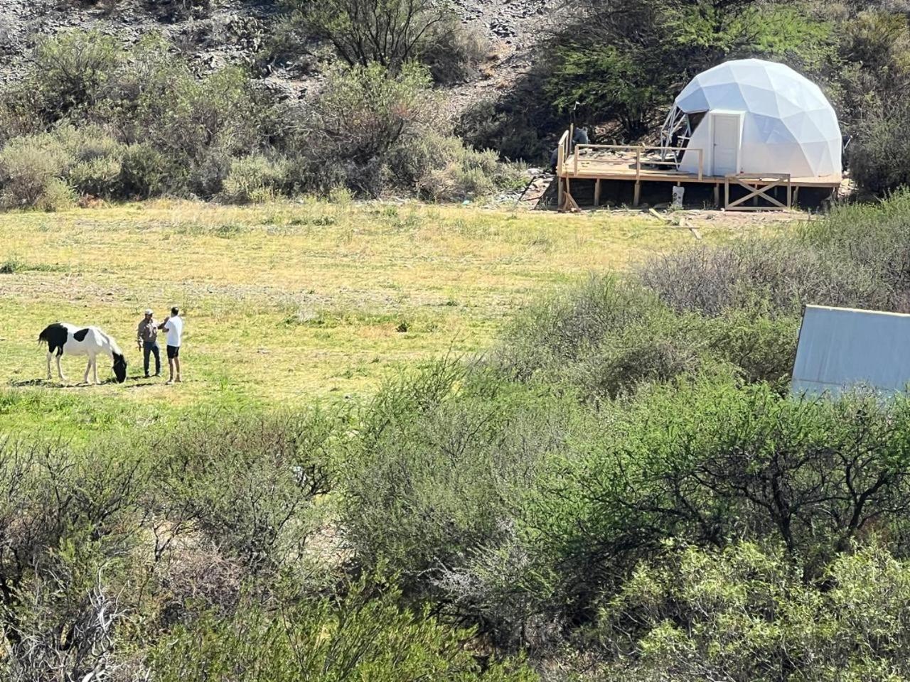 Glamping Cachi El Paraiso De Nala المظهر الخارجي الصورة